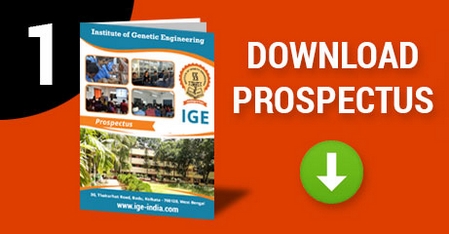 Download IGE Prospectus