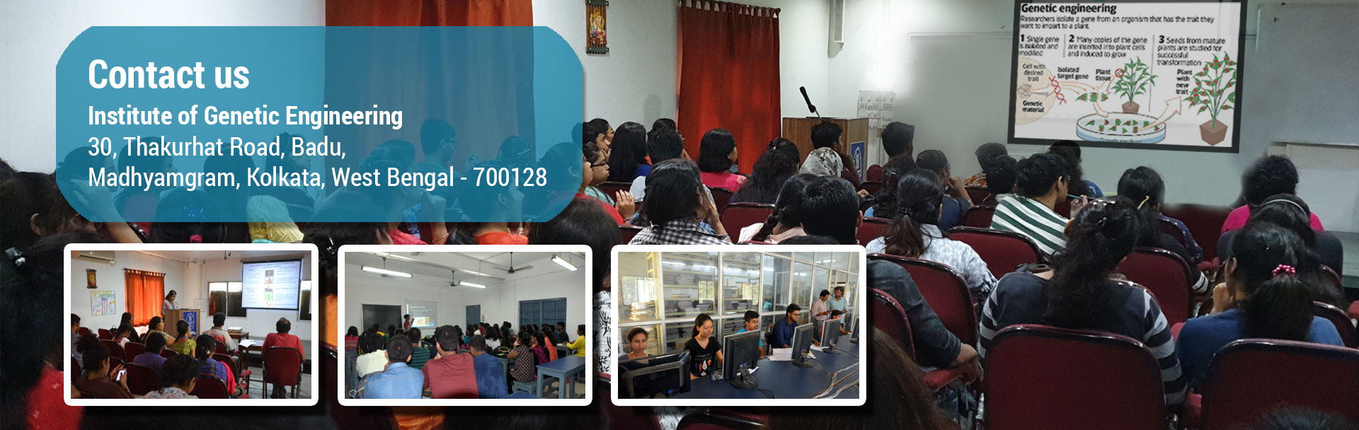 Contact us - Institute of Genetic Engineering